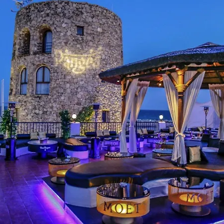 Flamingos Luxurious-royal Flamingos Estepona