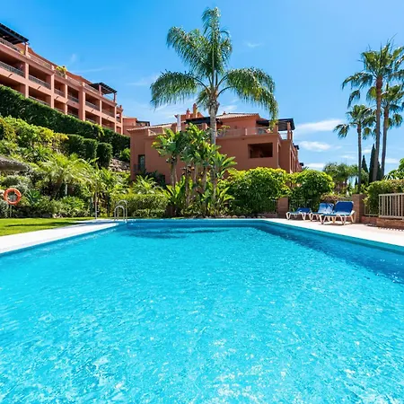 Flamingos Luxurious-royal Flamingos Estepona