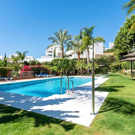 Flamingos Luxurious-royal Flamingos Estepona