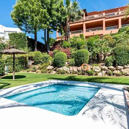 Flamingos Luxurious-royal Flamingos Estepona